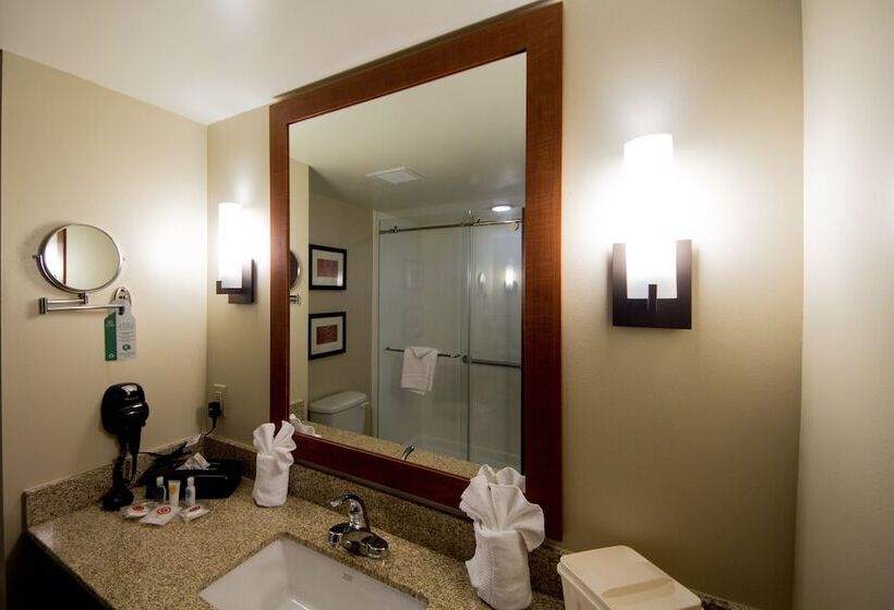 جناح, Comfort Suites Dunnellon Near Rainbow Springs