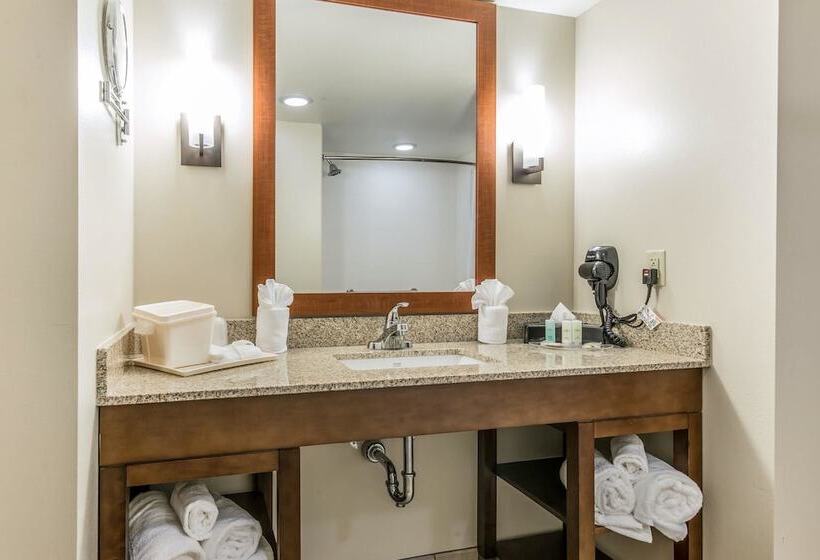 جناح لذوى الاحتياجات الخاصة, Comfort Suites Dunnellon Near Rainbow Springs