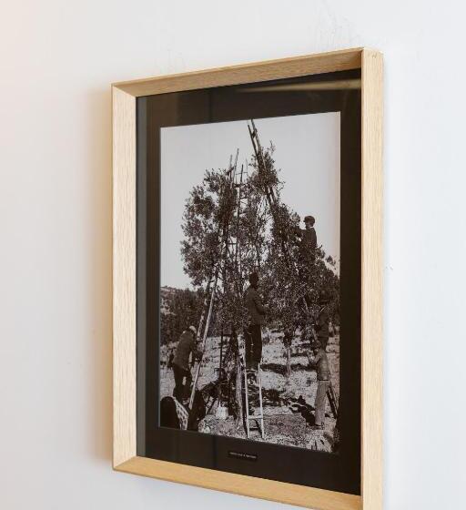 اتاق استاندارد, Evora Olive