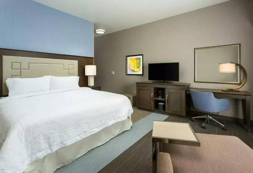 キングサイズベッドのスタンダードルーム, Hampton Inn & Suites Napa