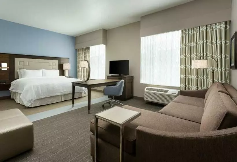 キングサイズベッドのデラックススイート, Hampton Inn & Suites Napa