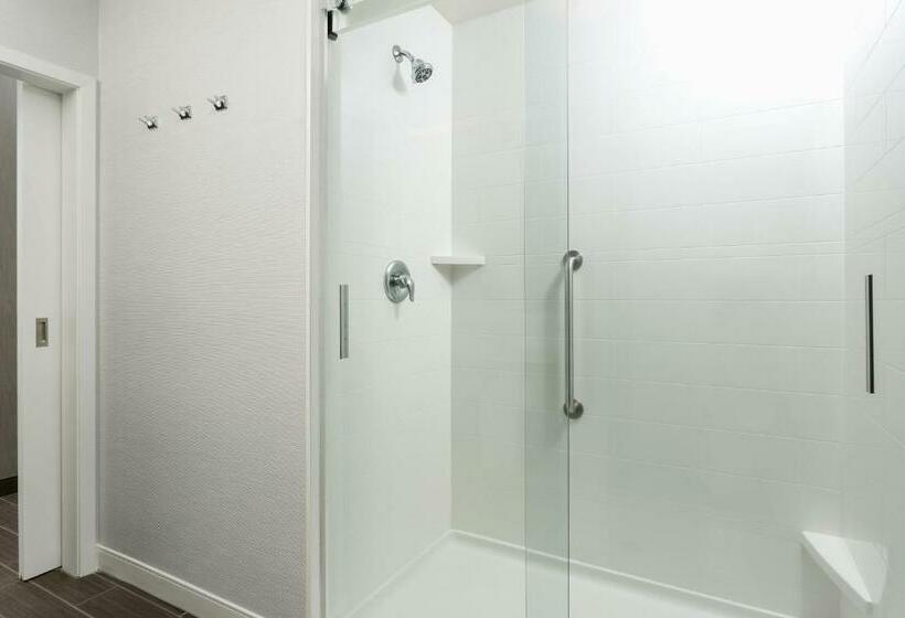 جناح ديلوكس سرير كينج, Hampton Inn & Suites Napa