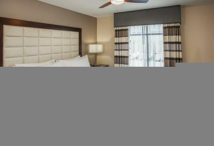 سوئیت با تخت بزرگ, Homewood Suites By Hilton Munster