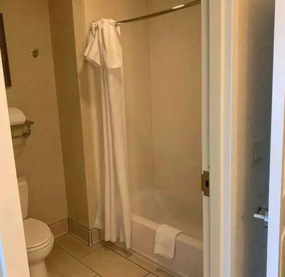 キングサイズベッドのスイートルーム, Homewood Suites By Hilton Munster