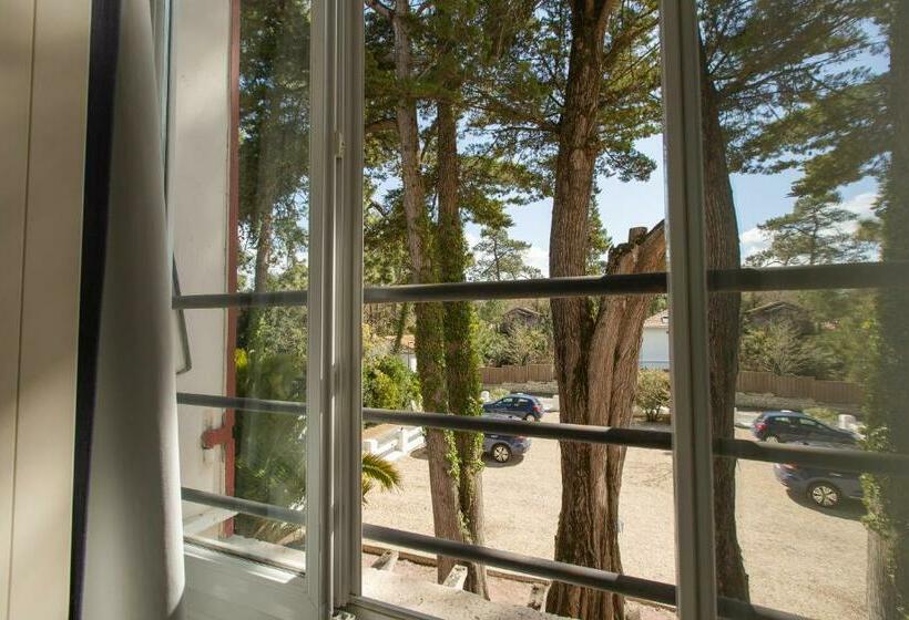 Номер Стандарт, Hôtel De La Plage