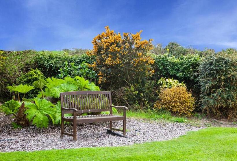 חדר סטנדרט לשלושה, Sunville Bed And Breakfast