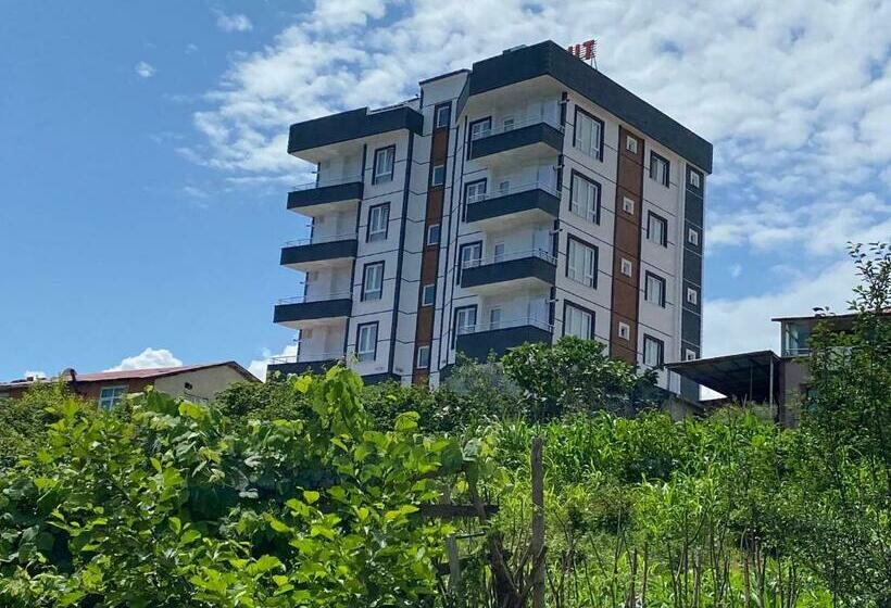 Апартаменты 1 Спальня Вид на Море, Metehan Sui̇t Apart