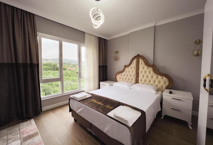 Апартаменты 1 Спальня Вид на Море, Metehan Sui̇t Apart