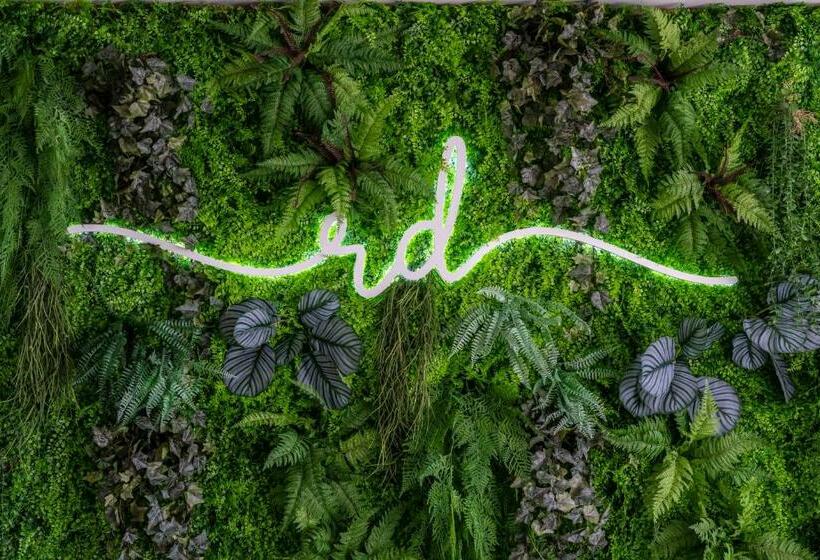 ２ベッドルームアパートメント, Rd Hotel Apartamento