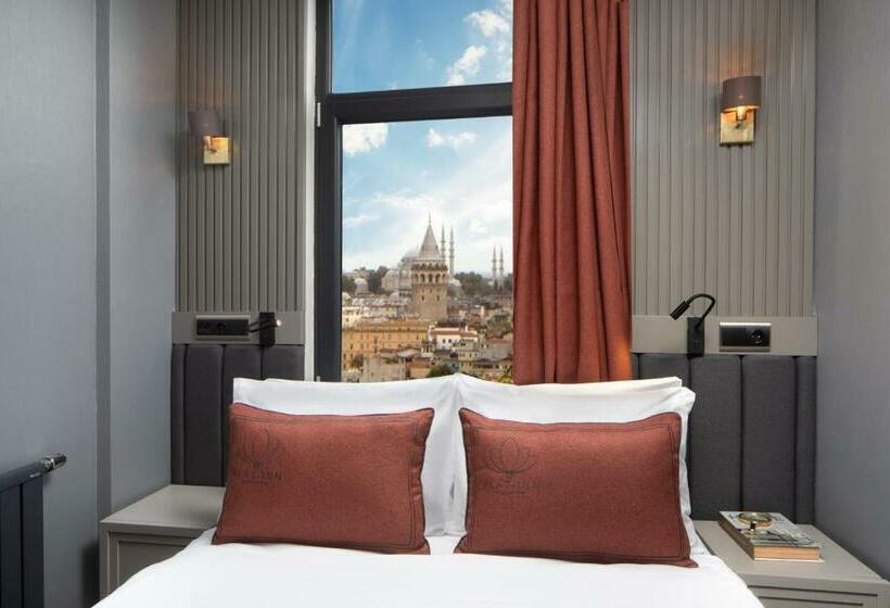 חדר סטנדרט, Plat Inn Hotel Taksim   Special Category