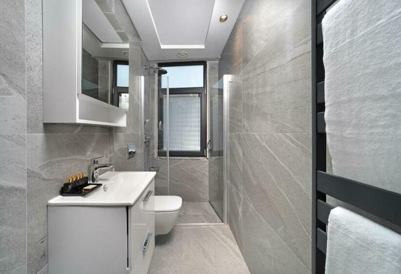 Номер Стандарт, Plat Inn Hotel Taksim   Special Category