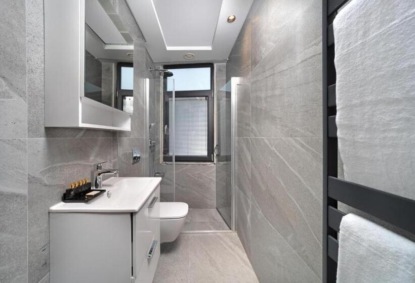 Семейное Студио, Plat Inn Hotel Taksim   Special Category
