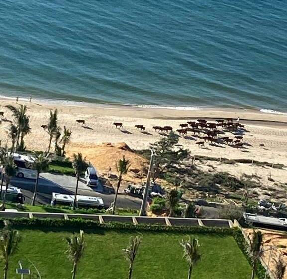 اتاق خانوادگی, Apec Mandala Cham Bay Mũi Né Condotel   Vietnam