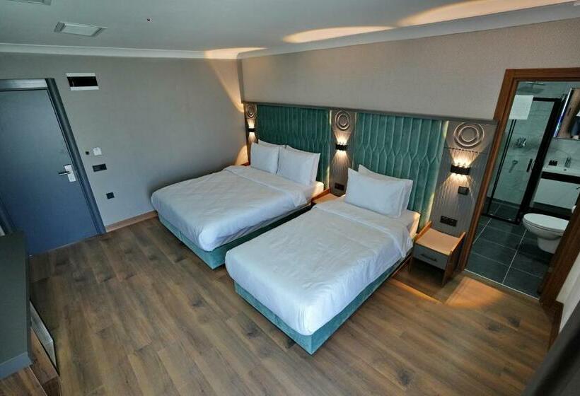 غرفة قياسية ثلاثية, Shelton Airport