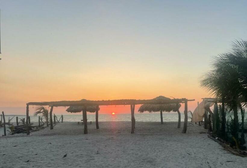 テラス付き１ベッドルームアパートメント, Gema Aparthotel & Beach