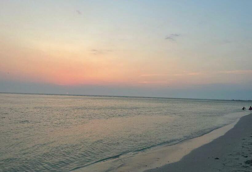 آپارتمان 1 خوابه با تراس, Gema Aparthotel & Beach