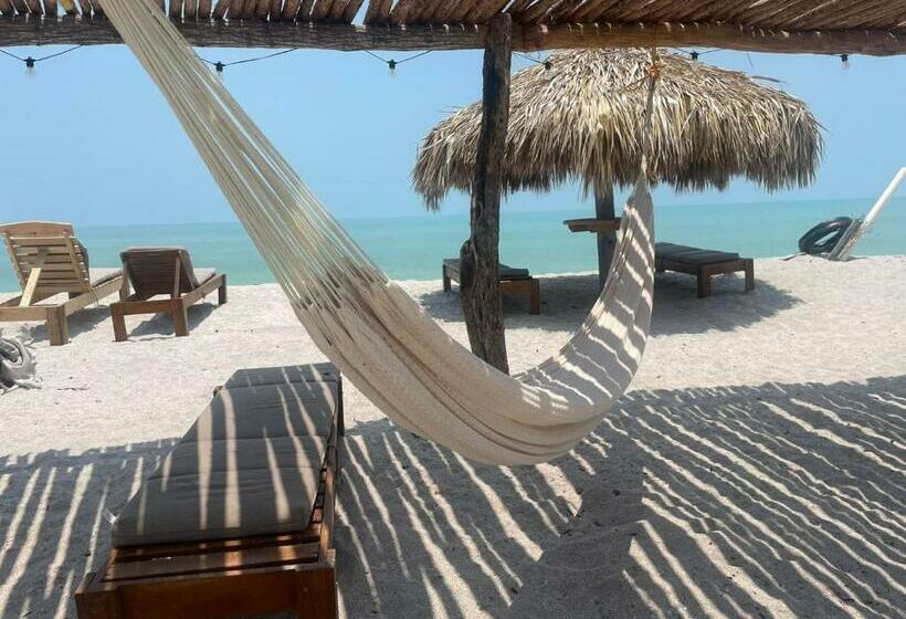 آپارتمان 1 خوابه با تراس, Gema Aparthotel & Beach