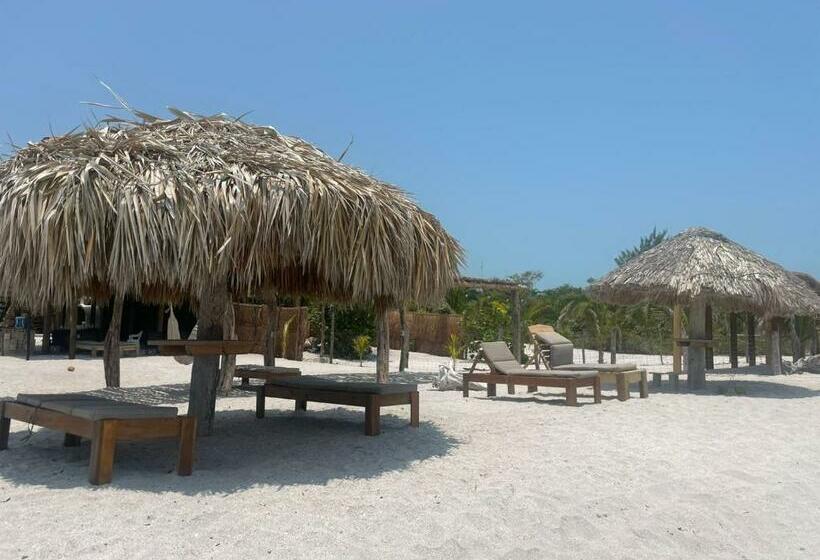 آپارتمان 1 خوابه با تراس, Gema Aparthotel & Beach