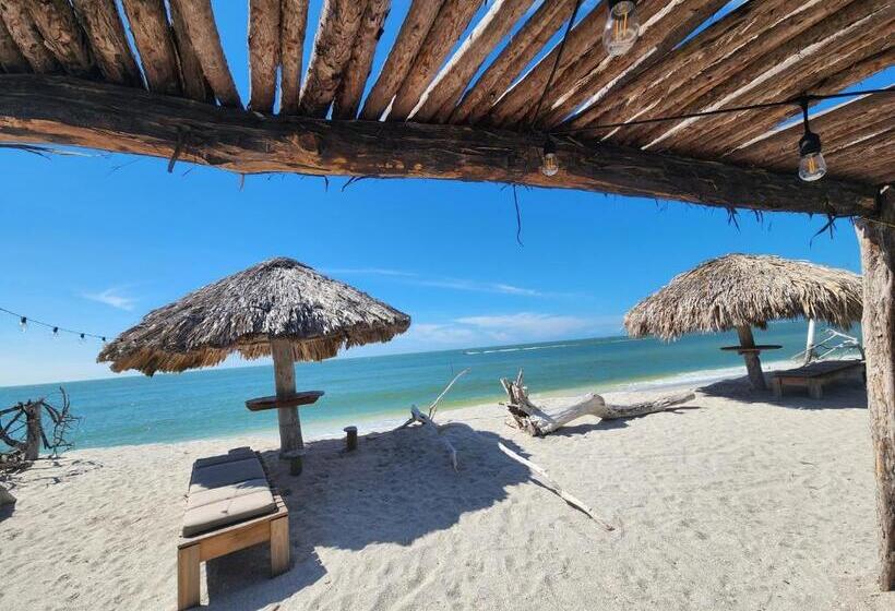 テラス付き１ベッドルームアパートメント, Gema Aparthotel & Beach