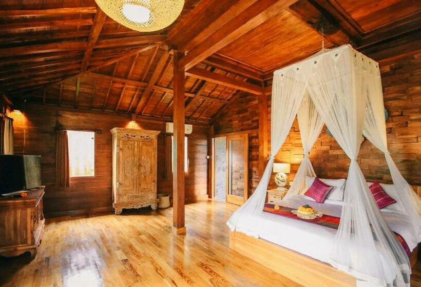 豪华房间, Virani Villa