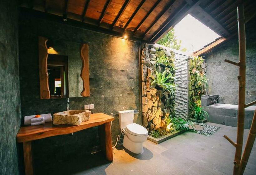 豪华房间, Virani Villa