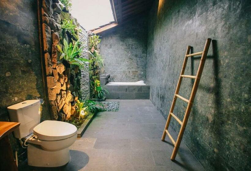 豪华房间, Virani Villa