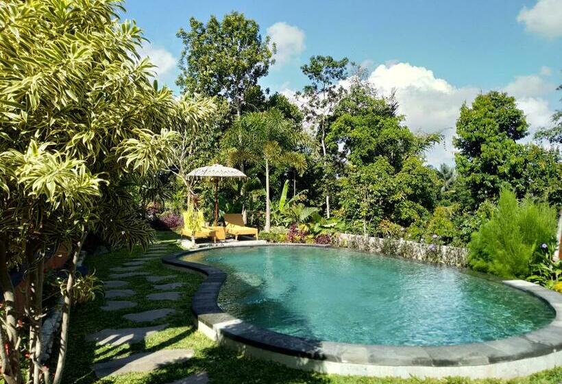 带大床的标准间, Virani Villa