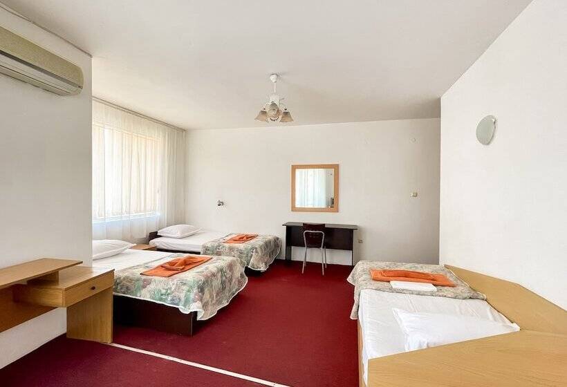 غرفة عائلية, Mint Family