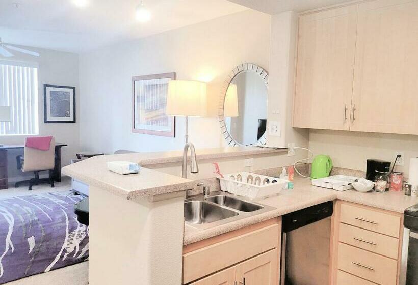 דירת חדר, Disney Fullerton Homes And Lofts