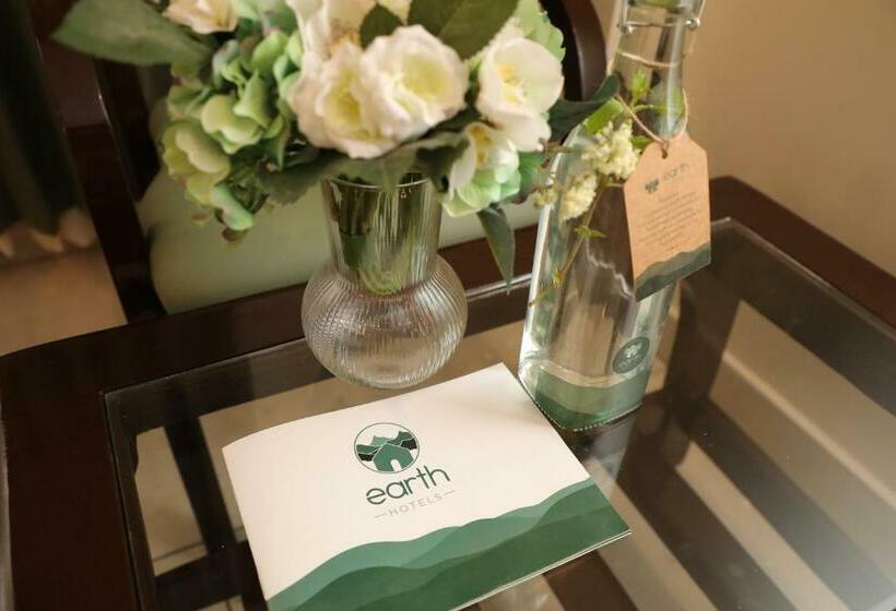 스탠다드 룸, Earth Hotels