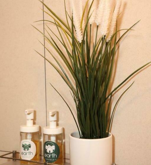 수피리어 룸, Earth Hotels