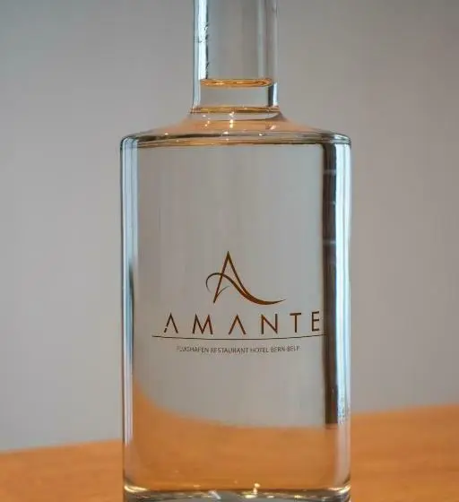 スタンダードルーム, Amante