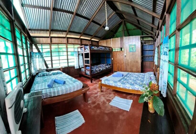 חדר סטנדרט לארבעה, Vista Alta Ecolodge Bahia Drake