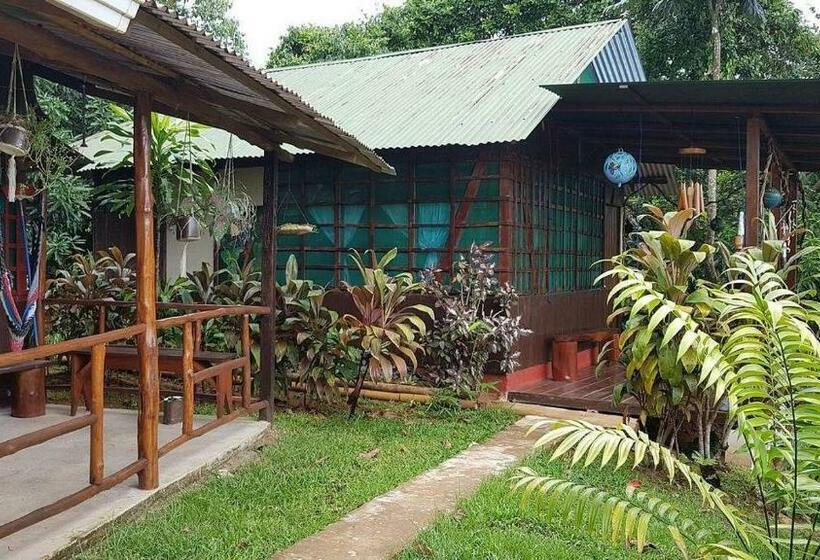 Quarto Quádruplo Estandar, Vista Alta Ecolodge Bahia Drake