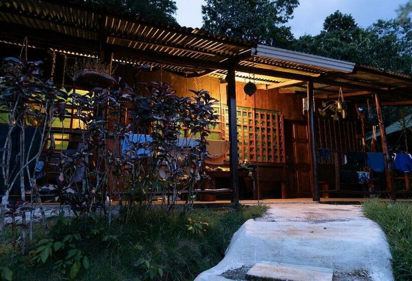 חדר סטנדרט לארבעה, Vista Alta Ecolodge Bahia Drake