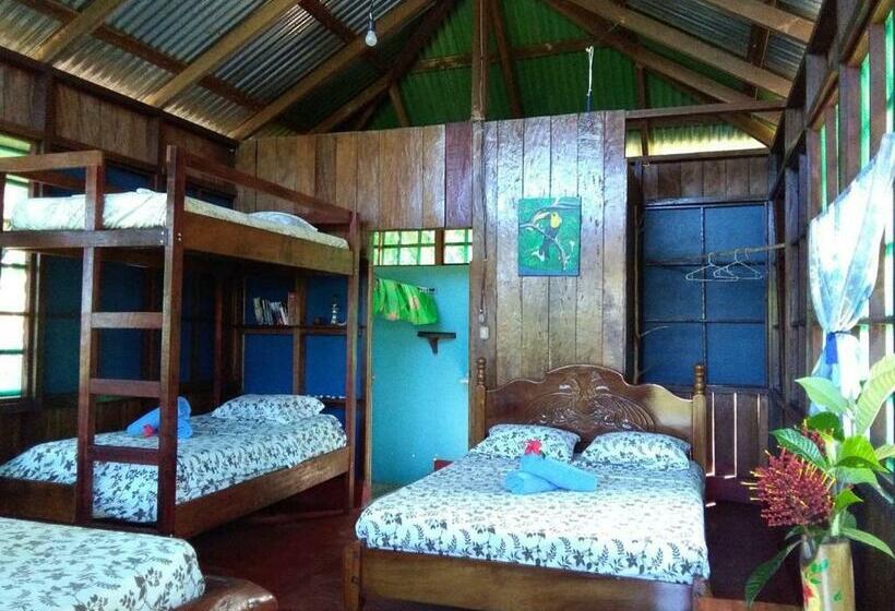 Quarto Quádruplo Estandar, Vista Alta Ecolodge Bahia Drake