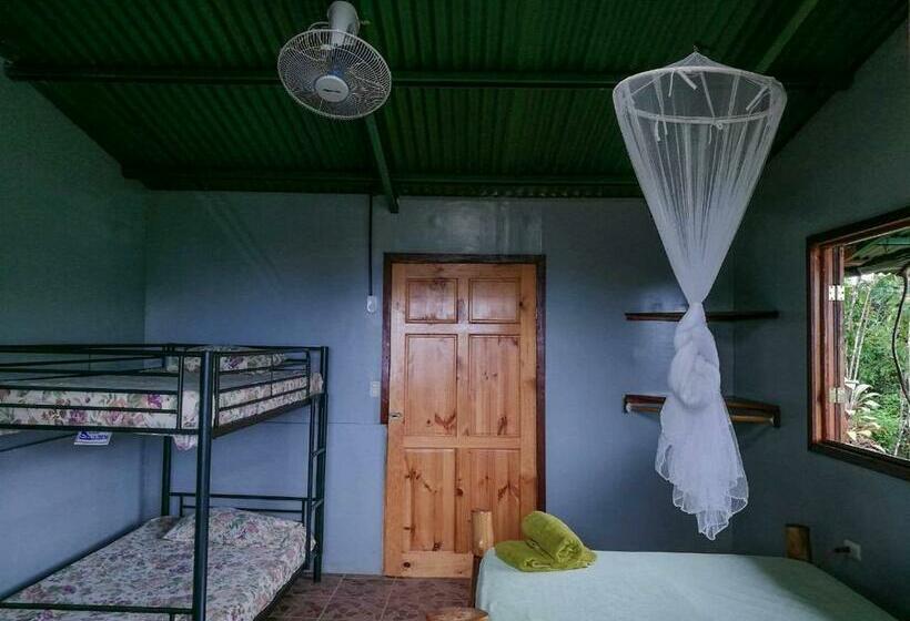 חדר סטנדרט לארבעה נוף לים, Vista Alta Ecolodge Bahia Drake