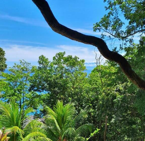 חדר סטנדרט לארבעה נוף לים, Vista Alta Ecolodge Bahia Drake