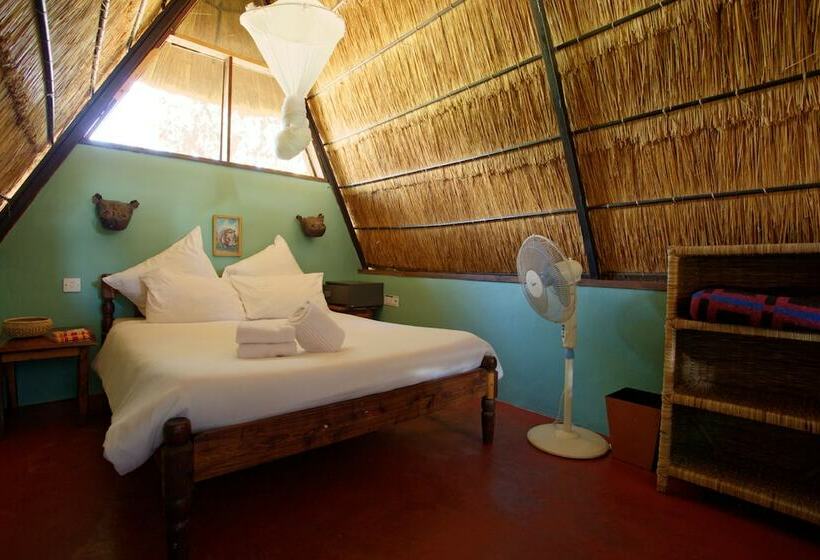 اتاق استاندارد با سرویس بهداشتی مشترک, Jollyboys Backpackers