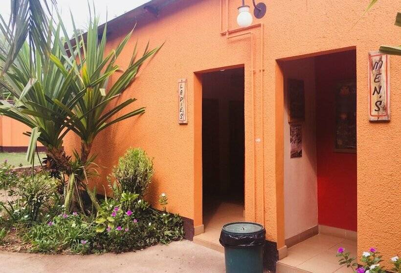 اتاق استاندارد با سرویس بهداشتی مشترک, Jollyboys Backpackers