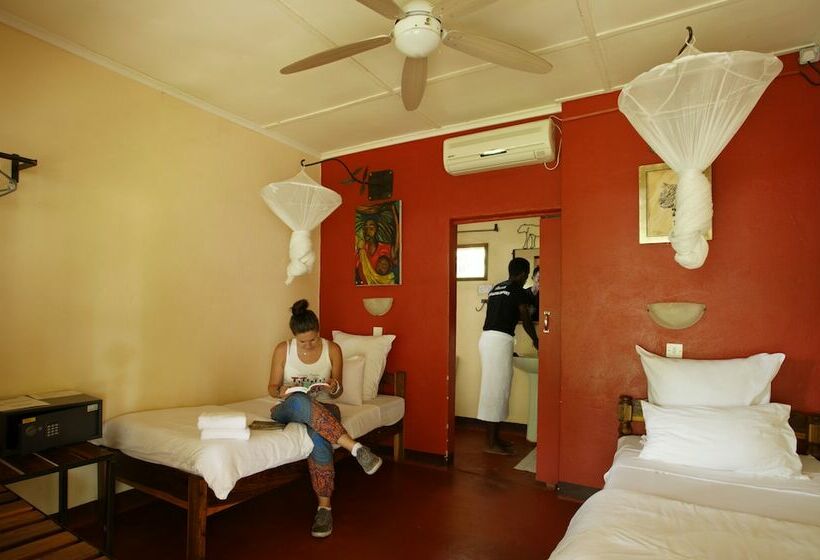 اتاق استاندارد, Jollyboys Backpackers