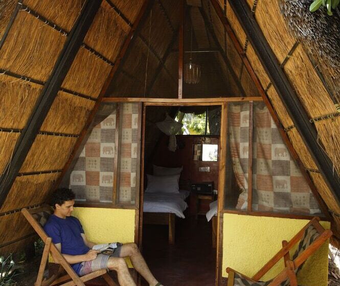 اتاق استاندارد با سرویس بهداشتی مشترک, Jollyboys Backpackers