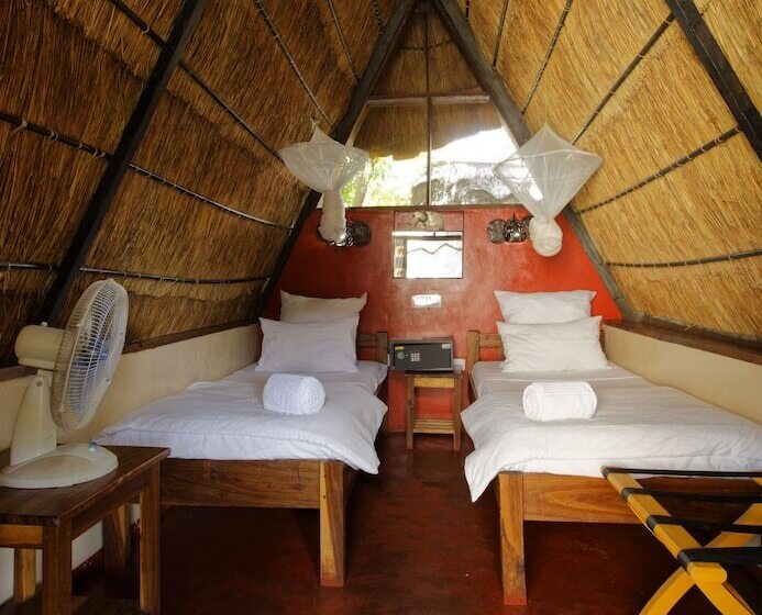 اتاق استاندارد با سرویس بهداشتی مشترک, Jollyboys Backpackers