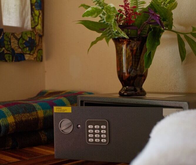 اتاق استاندارد چهار تخته, Jollyboys Backpackers