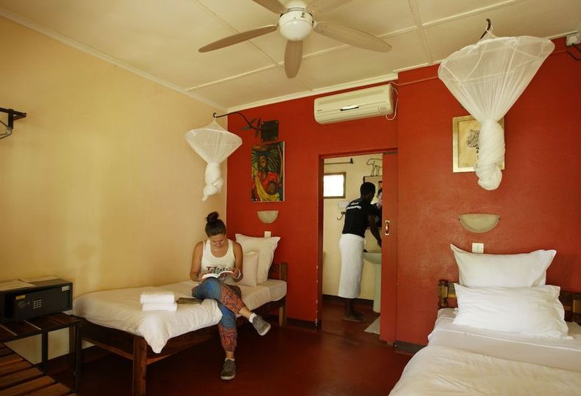 اتاق استاندارد یک نفره, Jollyboys Backpackers