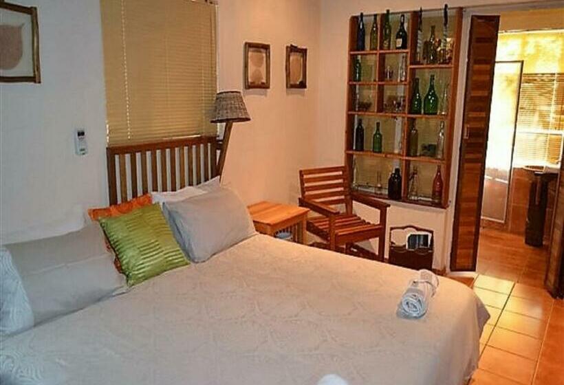 スタンダードルーム, A Traveller's Palm