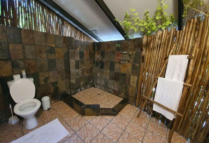 スタンダードルーム, A Traveller's Palm