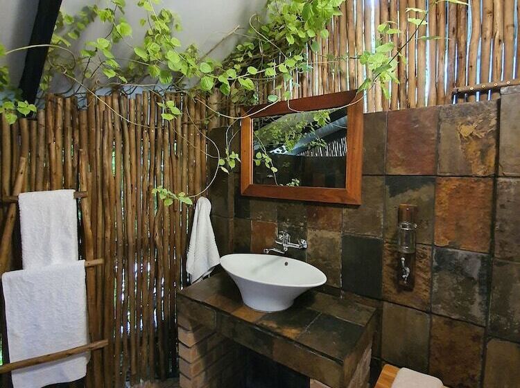 スタンダードルーム, A Traveller's Palm