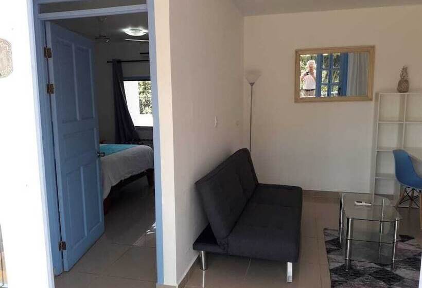 سوییت, Boutique Hotel Ibiza