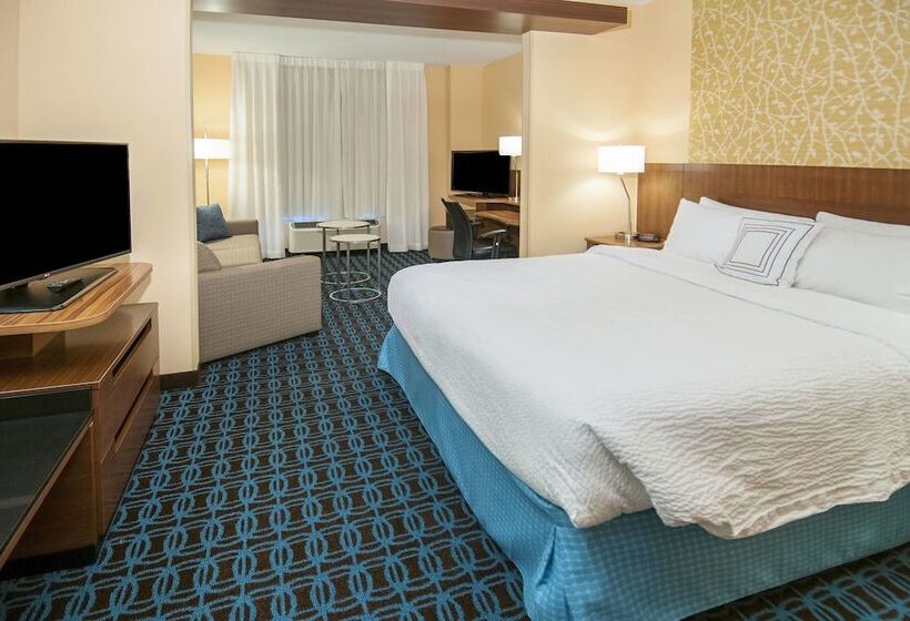 جناح, Fairfield Inn & Suites By Marriott San Antonio Brooks City Base